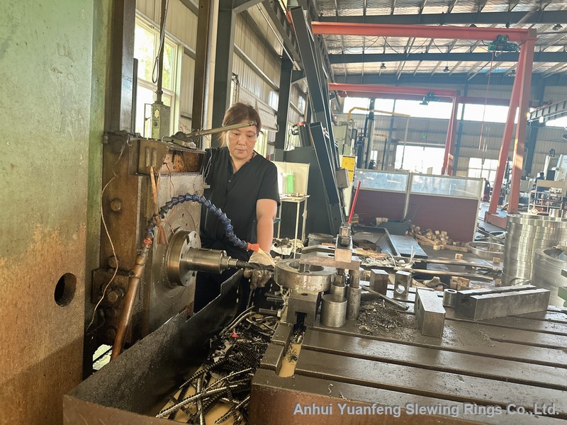 Slewing ring product Slewing ring product